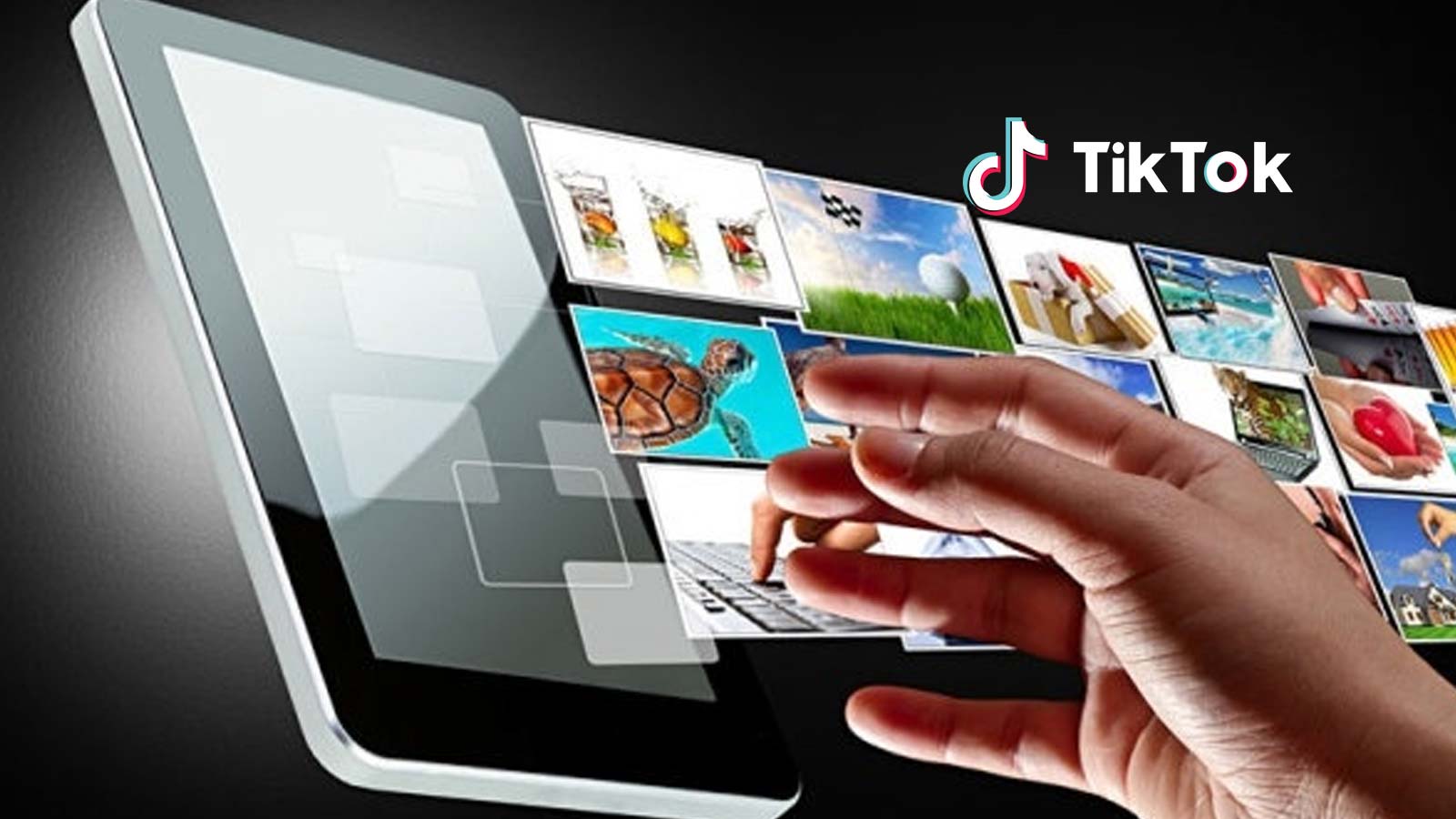 TikTok Partners With Arnold Schwarzenegger's After-School All-Stars to Provide Food and Resources