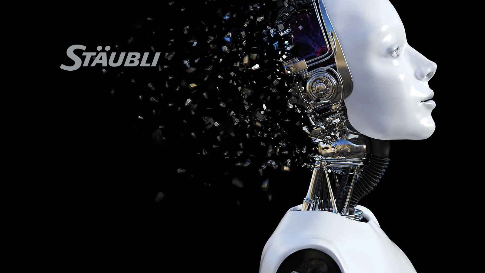 WORLD PREMIERE at IPPE: Stäubli Shows the Latest Evolution of Its 4-Axis Robot Range