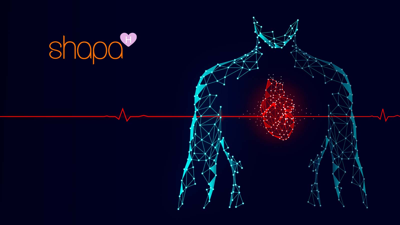 Shapa Health Partnering With a Large Healthcare Insurance Provider to Launch Cost-Effective Solution for Virtual Outpatient Weight Monitoring and Lifestyle Program