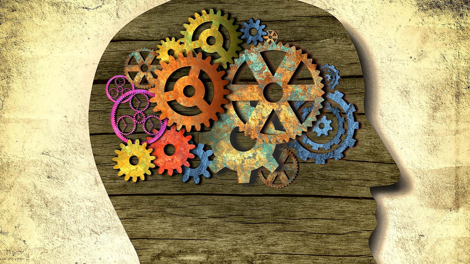 Totem Agency Launches My-Totem, a Branding Automation Platform