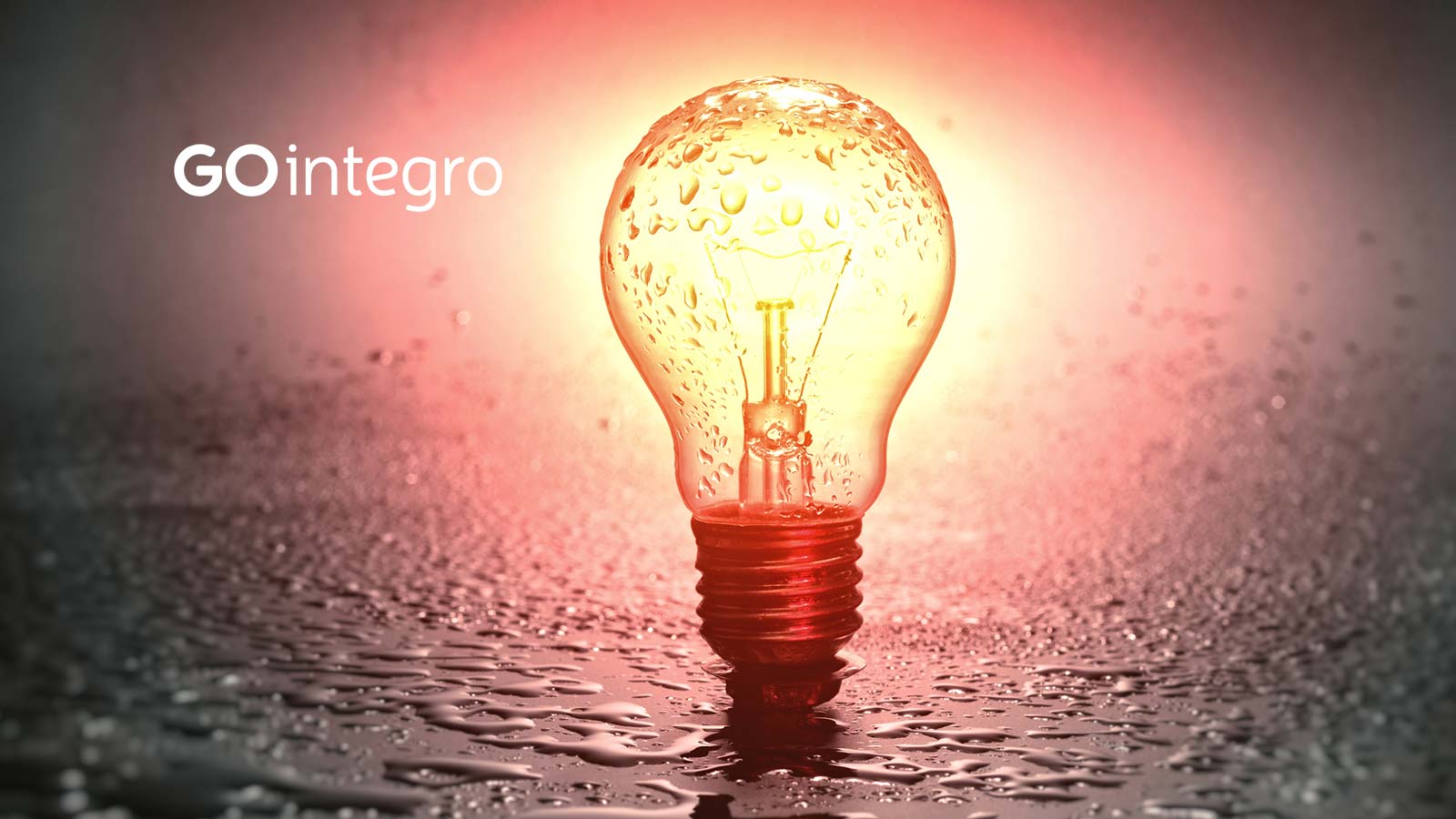 GOintegro Announces Its Renewed Product Offering