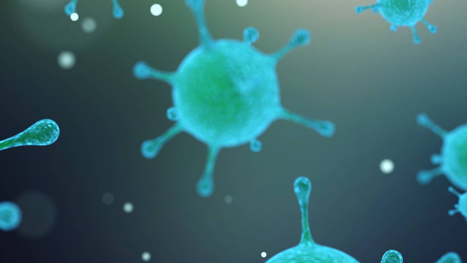 Lightinthebox Adding Packs of Medical Face Masks to Parcels Shipped to North America and Europe Free-of-Charge to Fight COVID-19 Pandemic