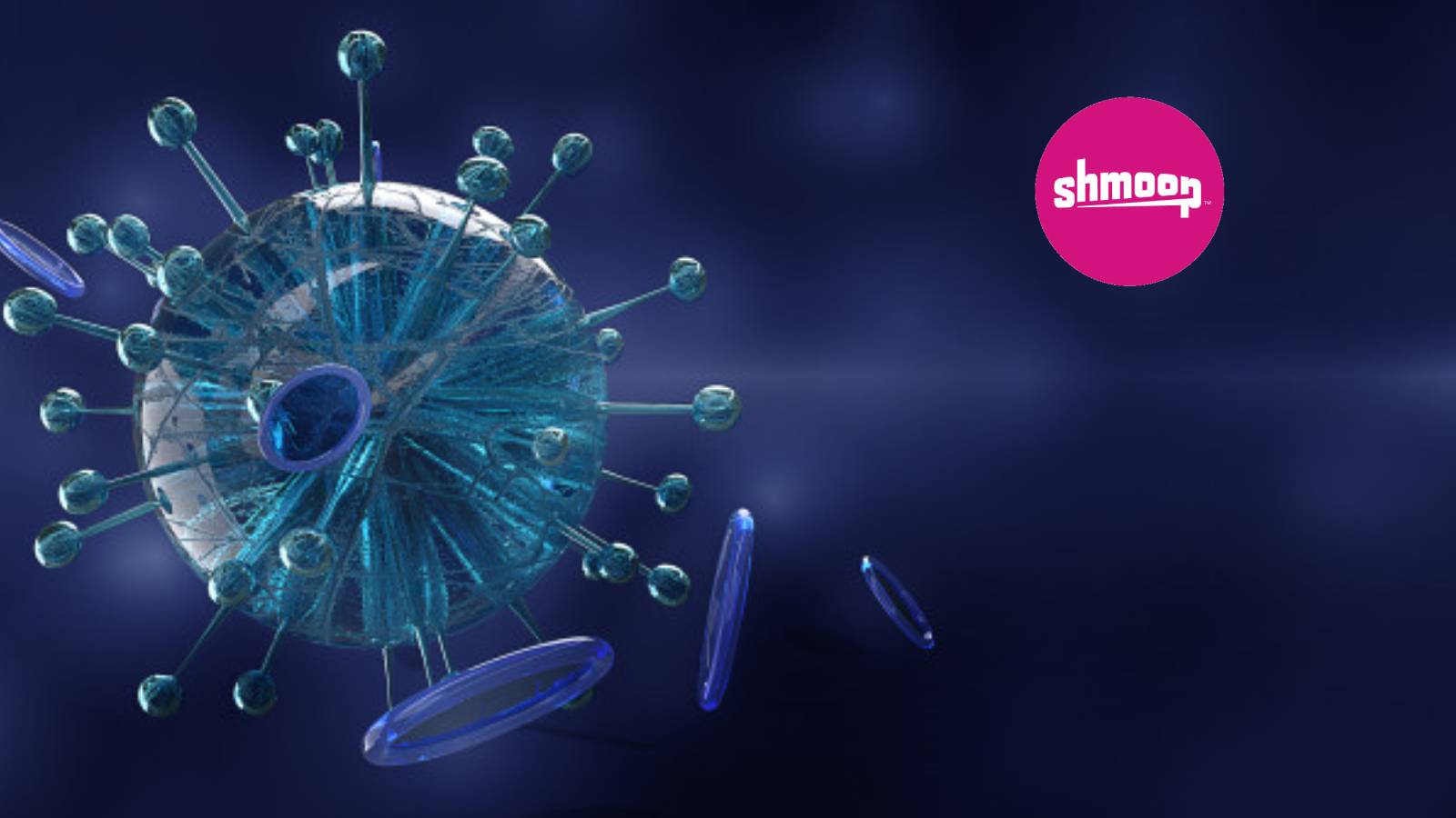 Shmoop Offers Millions Of Students And Teachers Free E-Learning Access During Coronavirus Outbreak