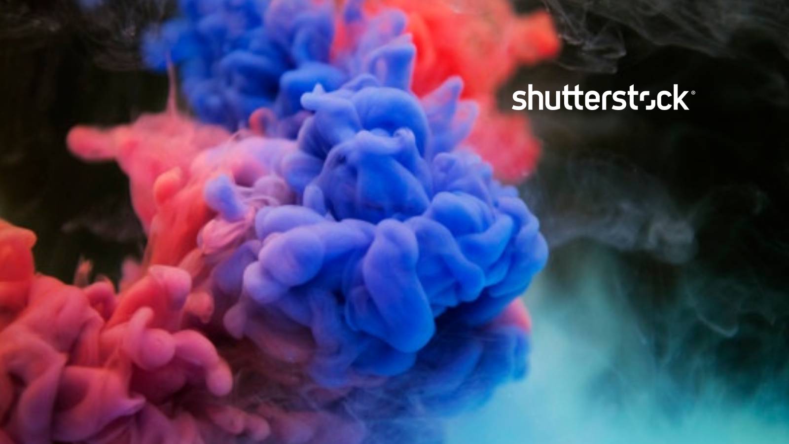 Shutterstock Announces Footage Library Availability for Mobile Users (2)