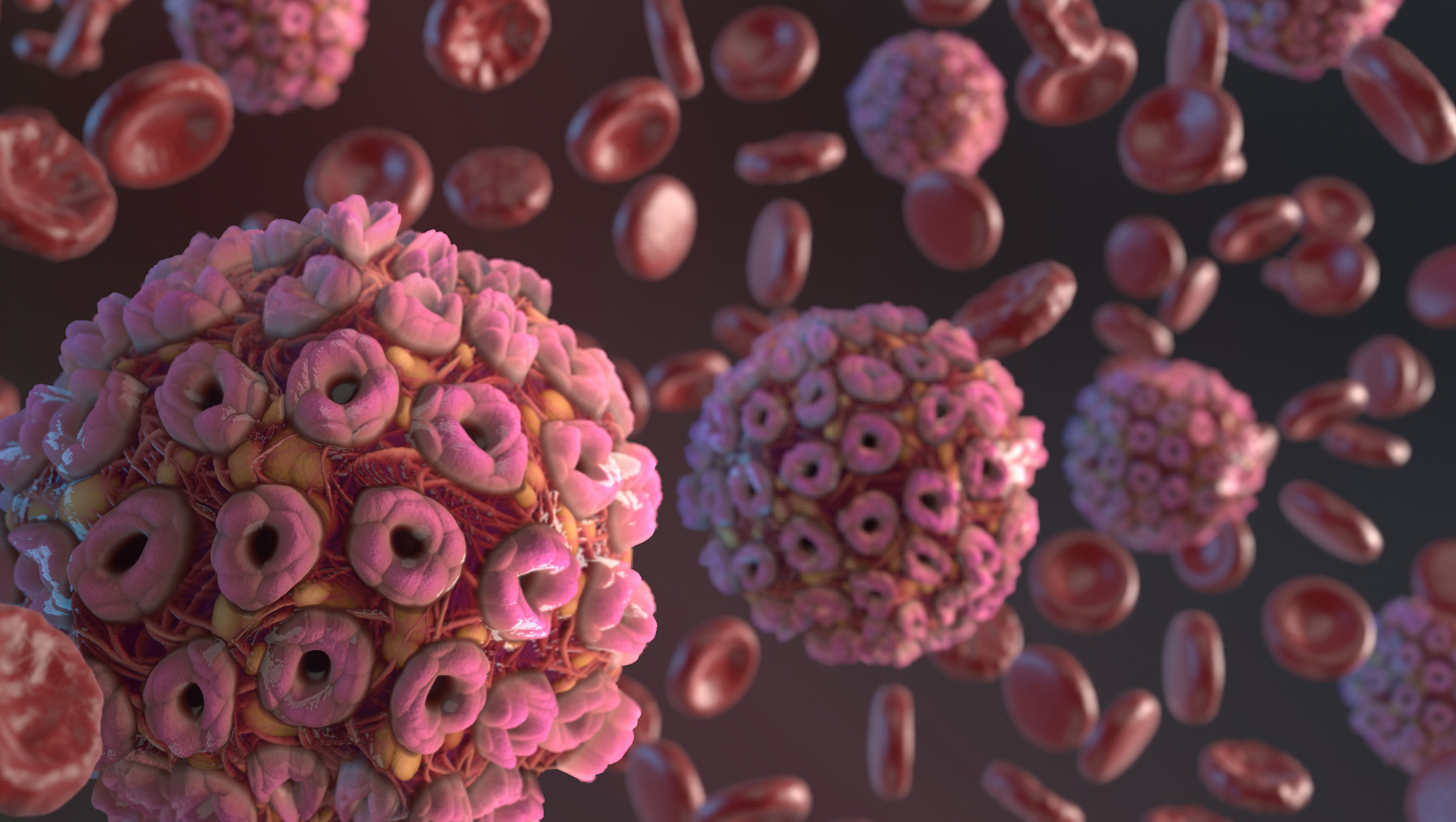 ViewSonic Offers Schools and Universities Free Distance Learning Tools During Coronavirus Outbreak