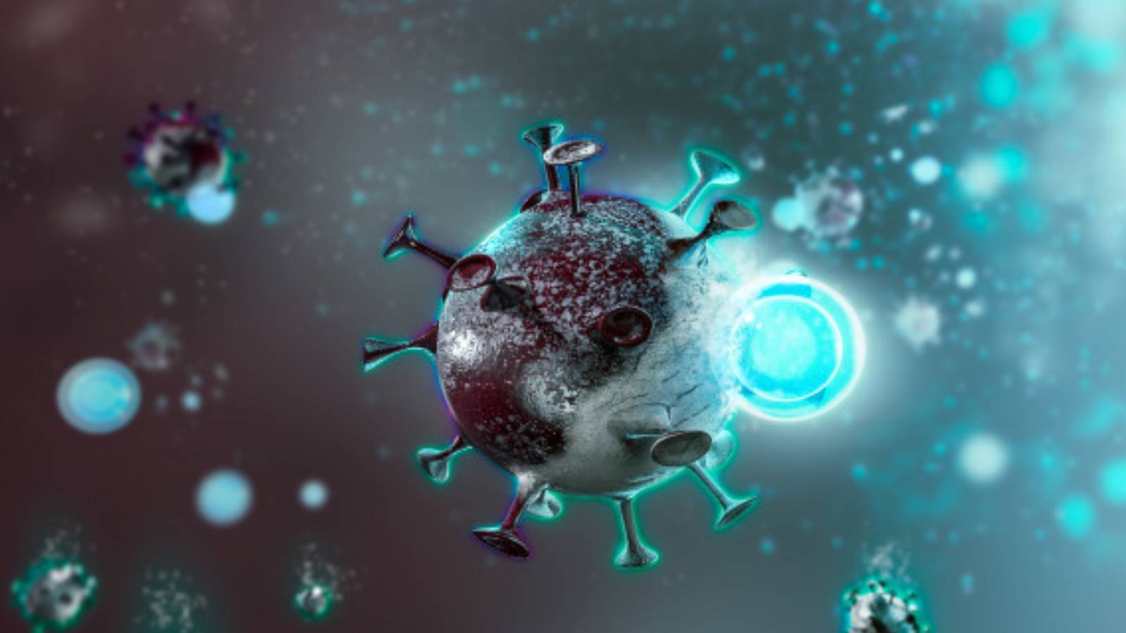 Blackbaud's Social Good Customers Share Stories of Resilience During COVID-19