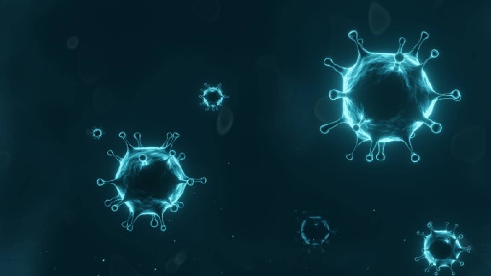 Computer Viruses Secretly Take Pictures Using Your Webcam and Steal Your Passwords