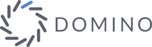 DominoDataLab_Logo