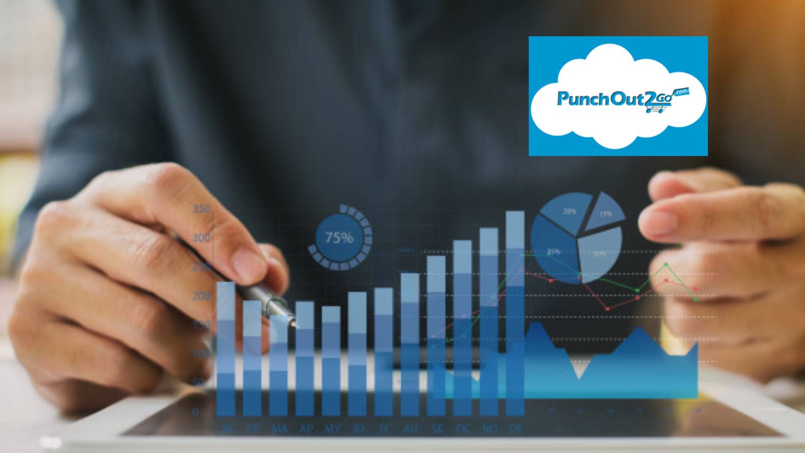 PunchOut2Go Appoints New VP of Technology and Financial Controller