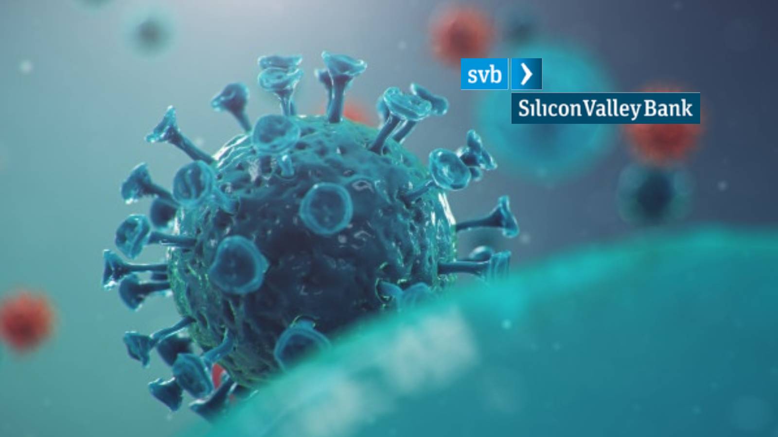 Silicon Valley Bank Expands COVID-19 Response & Community Support