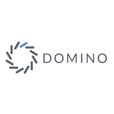 Domino Data Lab logo
