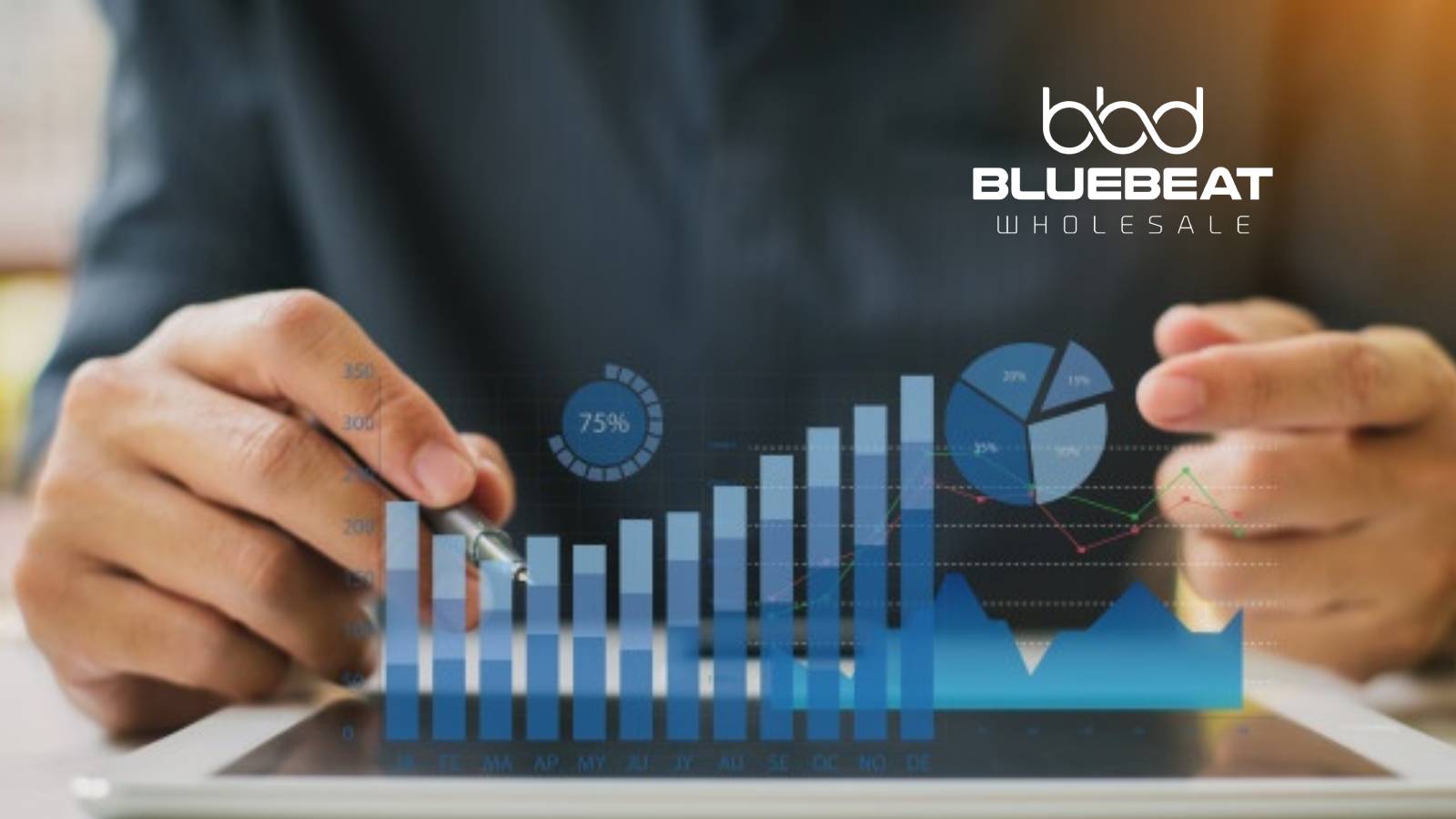 Blue-Beat-Digital-Offers-Affiliate-Marketing-Opportunities