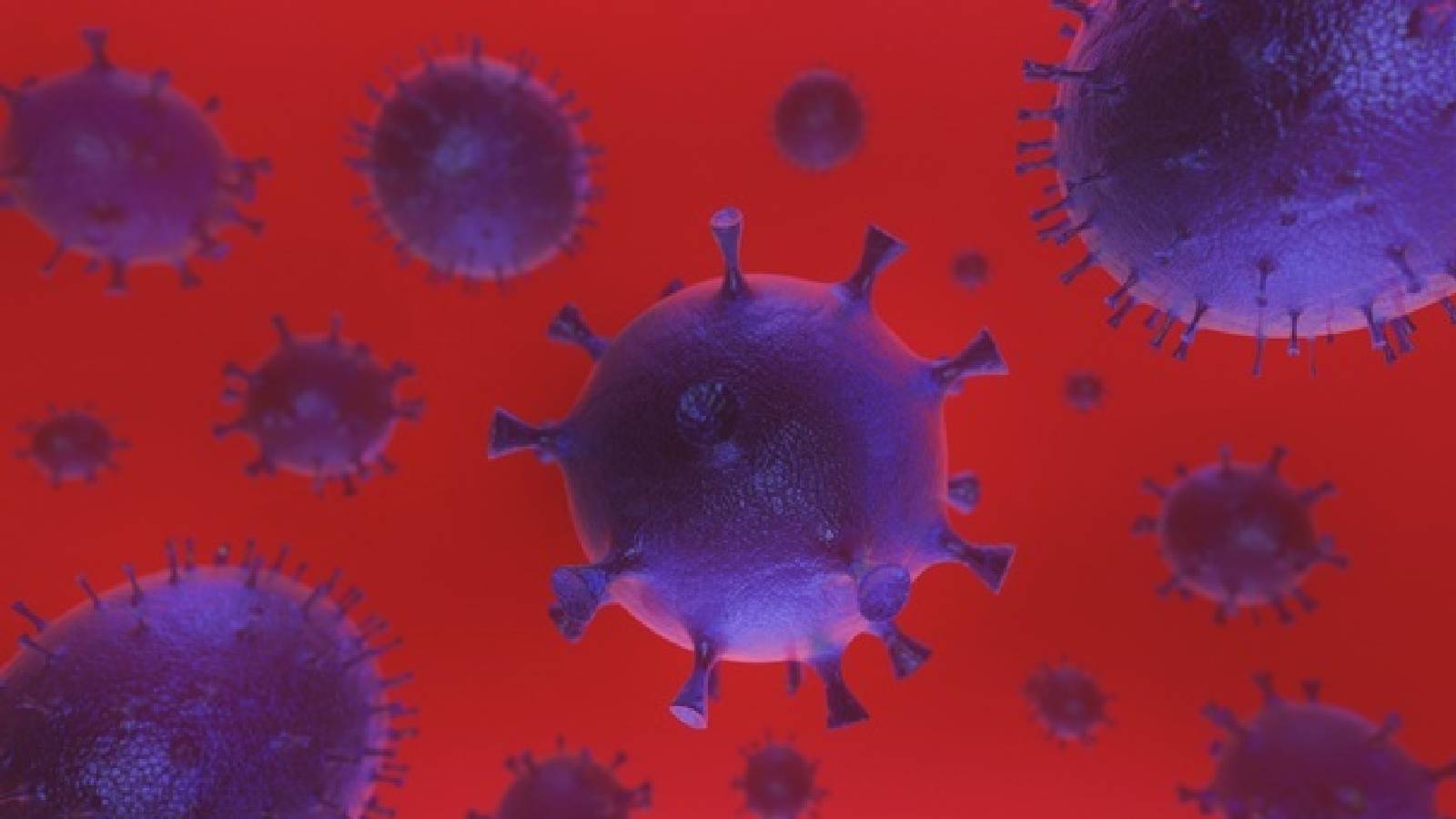 Zib Digital Explains The Importance Of SEO Performance