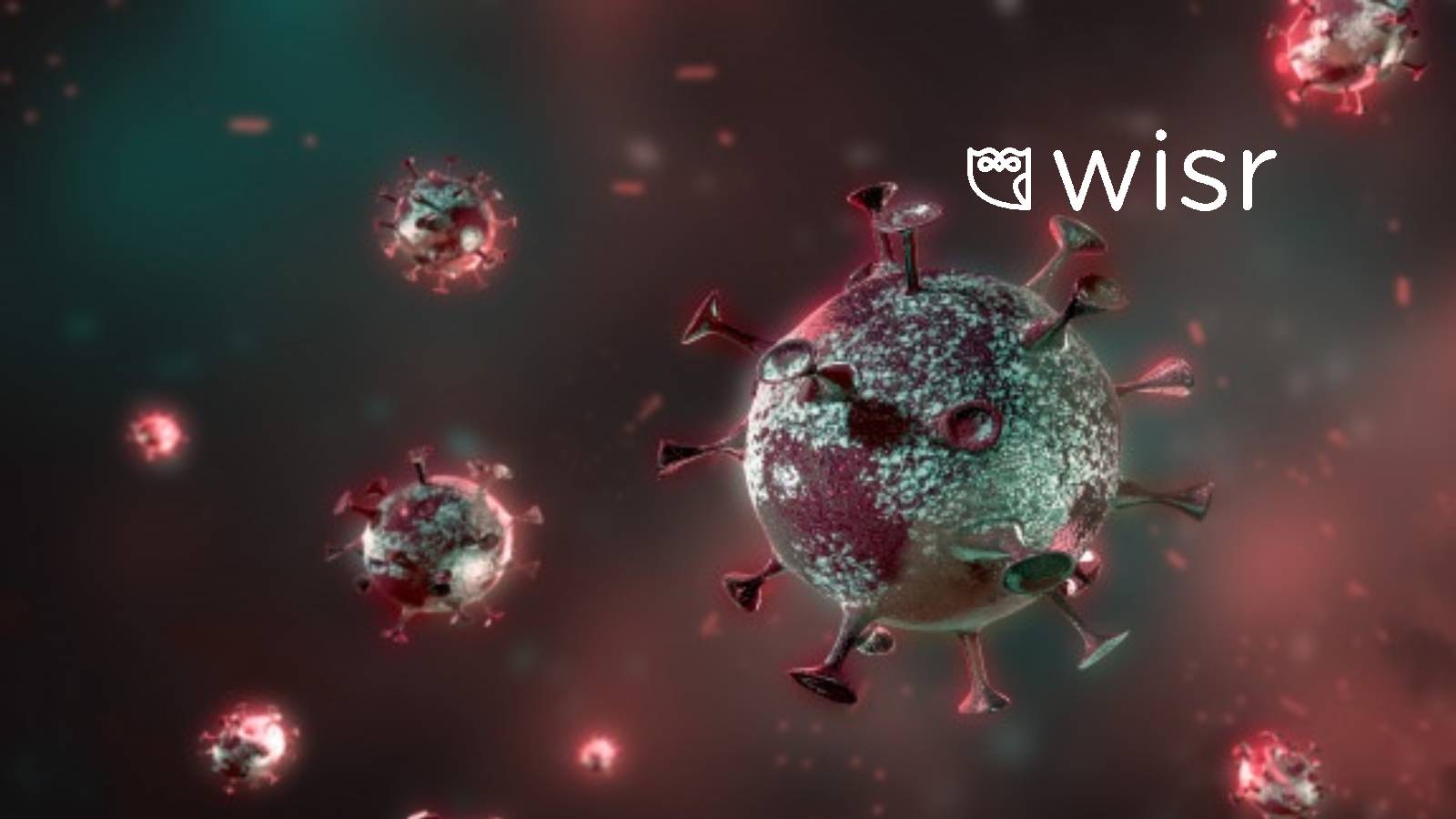 Wisr Ed Tech Platform Helps Universities Combat Summer Melt Amidst COVID-19 Campus Closures