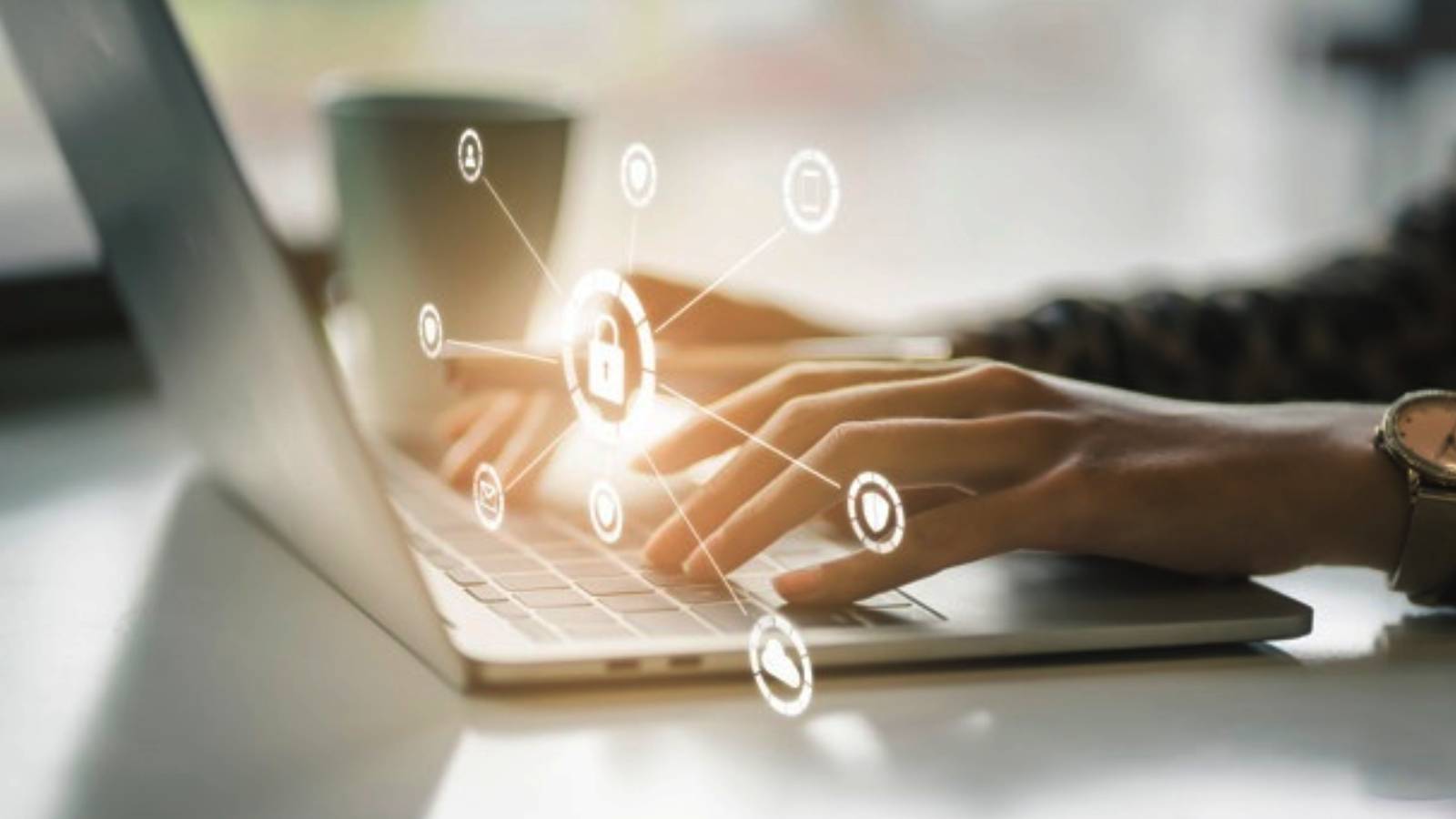 Data Privacy Problem on the Web Solved by Free Software Product