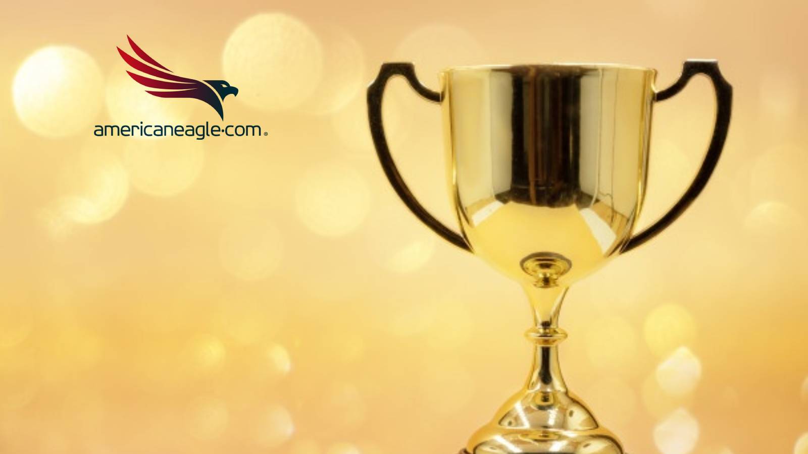 Americaneagle.Com's Lino Tadros Receives Microsoft Regional Award