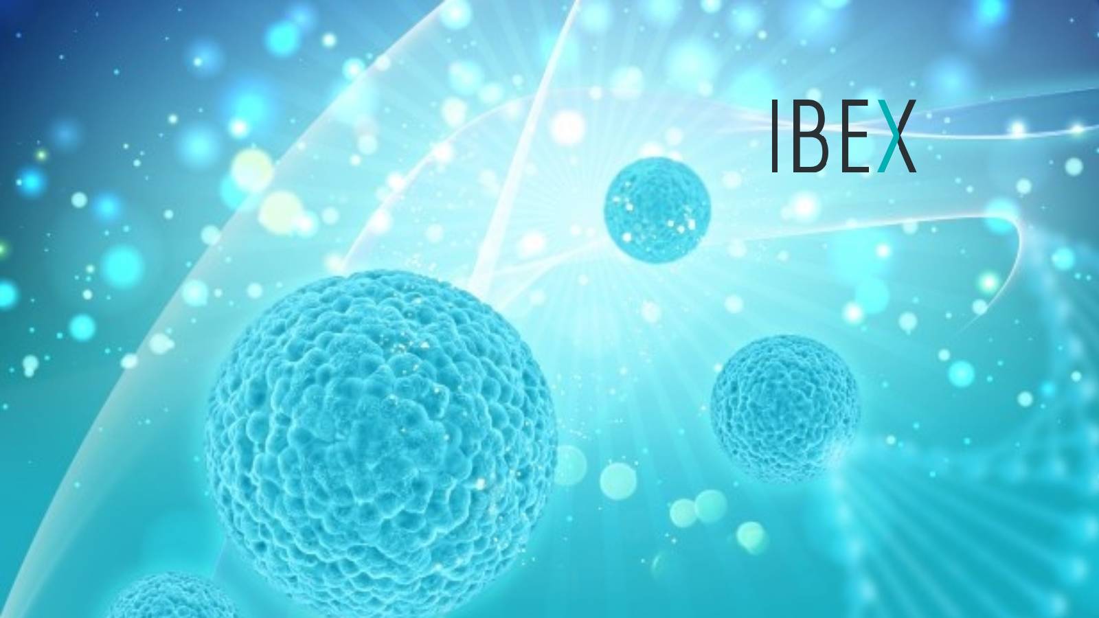 ibex ai