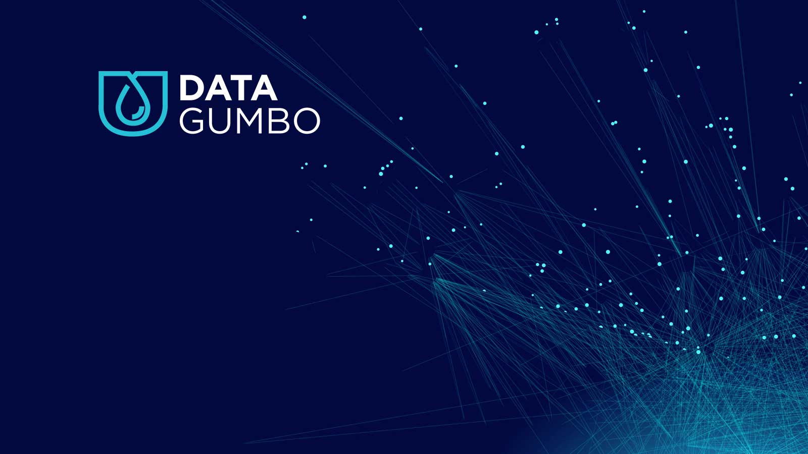Data Gumbo Appoints McKinsey Alumnus as New Board Chairman