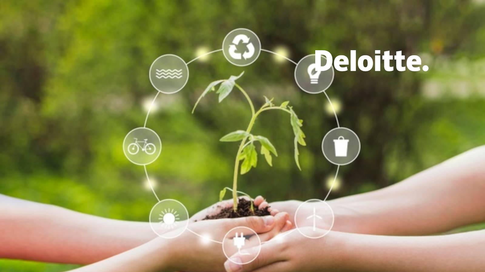 Deloitte Sets New Record in Achieving Snowflake’s Elite Services Partner Status