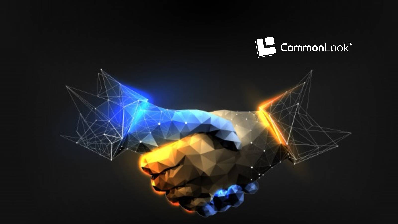 Website Auditing and PDF Document Partnership to Eliminate the Digital Divide