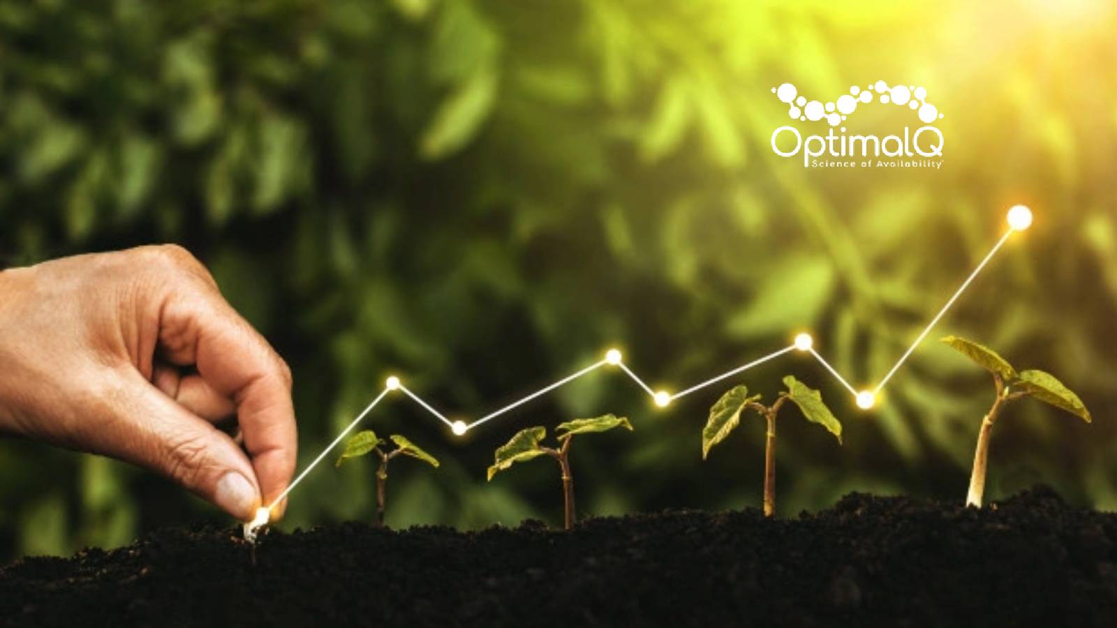 OptimalQ Announce Strategic Deal with Microsoft to Improve Sales Efficiency