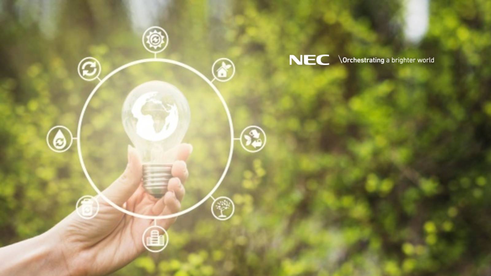 nec