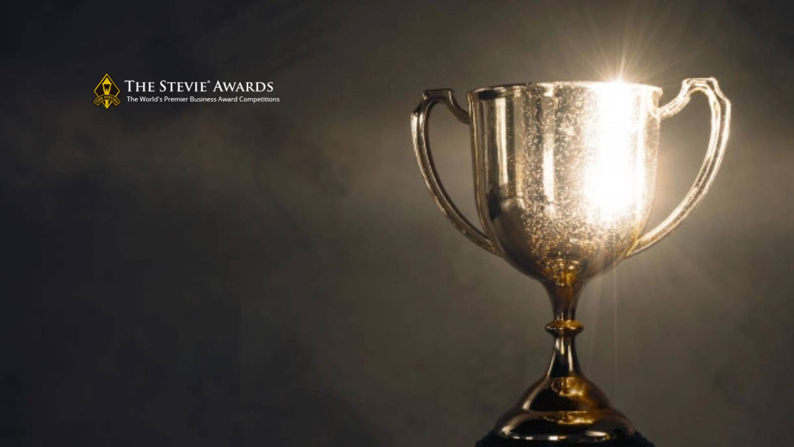 Stevie Awards Winners in 17th Annual International Business Awards
