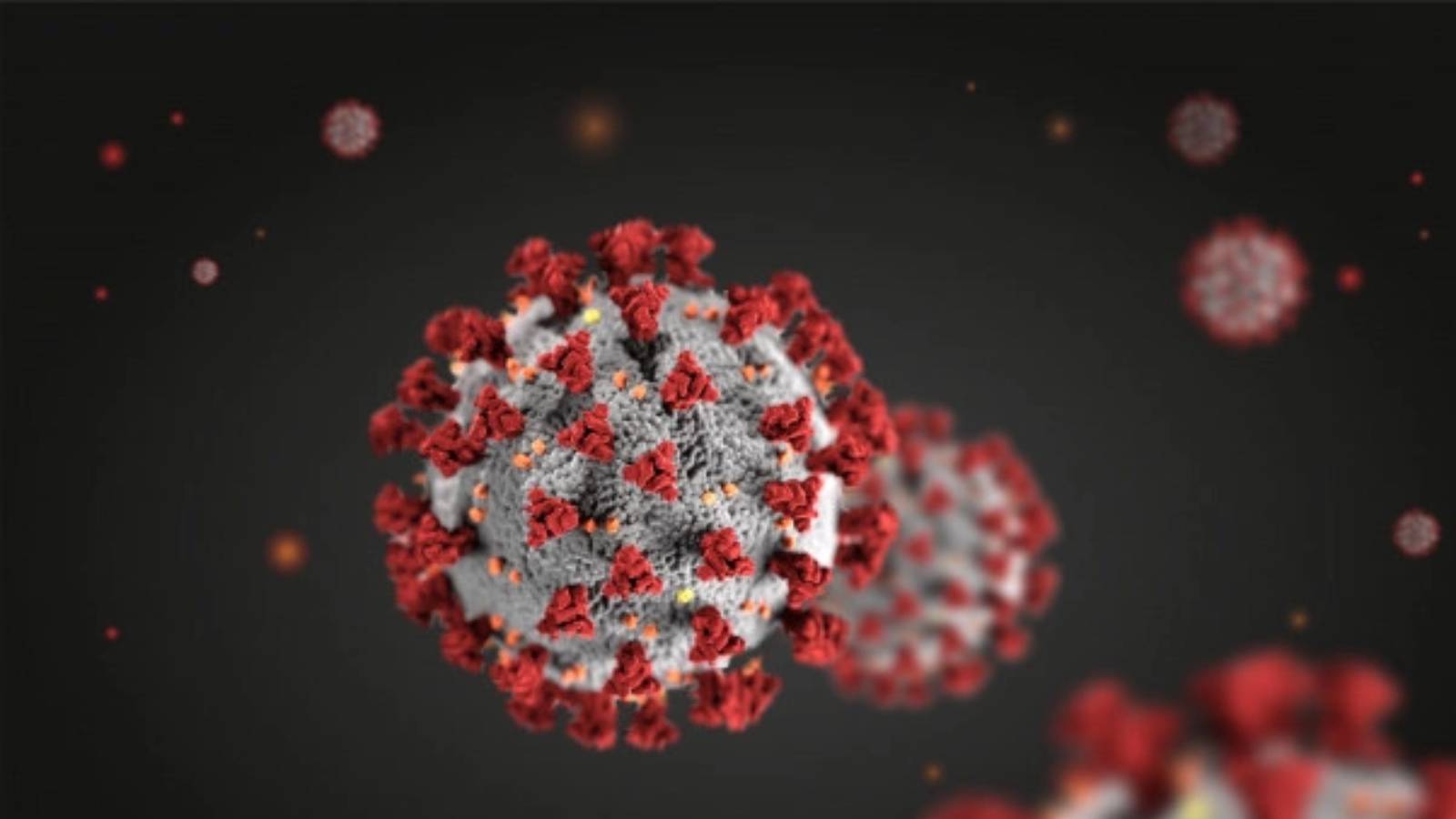 Coronavirus - Kenya: United States Announces $7 Million to Help Kenya to Recover From Economic Losses From COVID-19