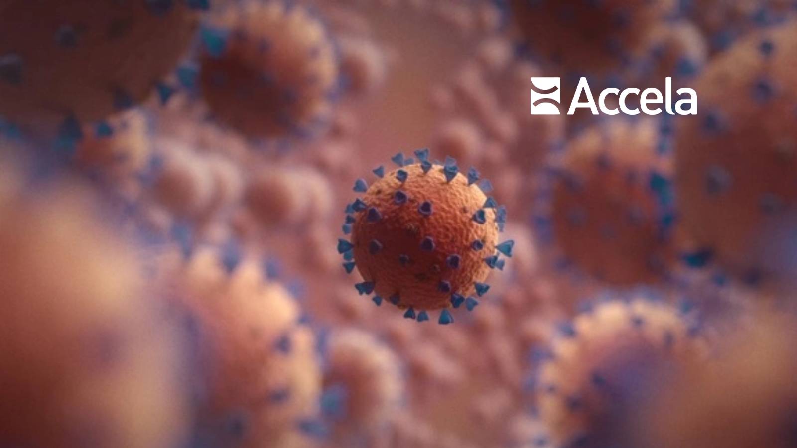 Government of Jordan Selects Accela Cloud Technology to Safely Reopen Businesses Amid COVID-19 Pandemic