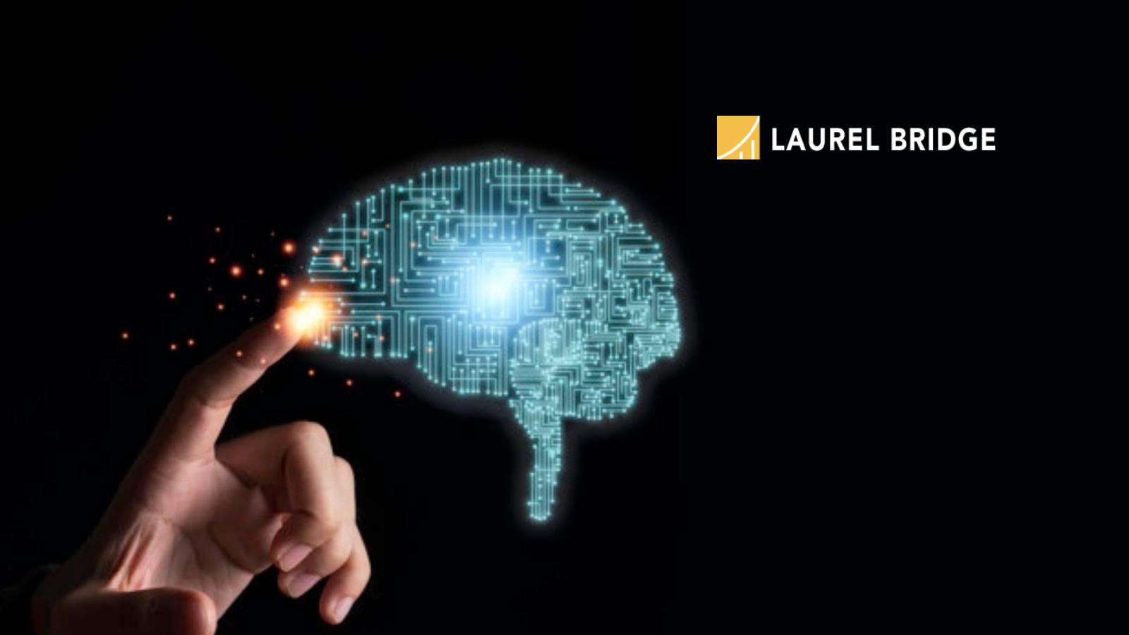 New Laurel Bridge White Paper Highlights Medical Imaging AI Workflow Challenges