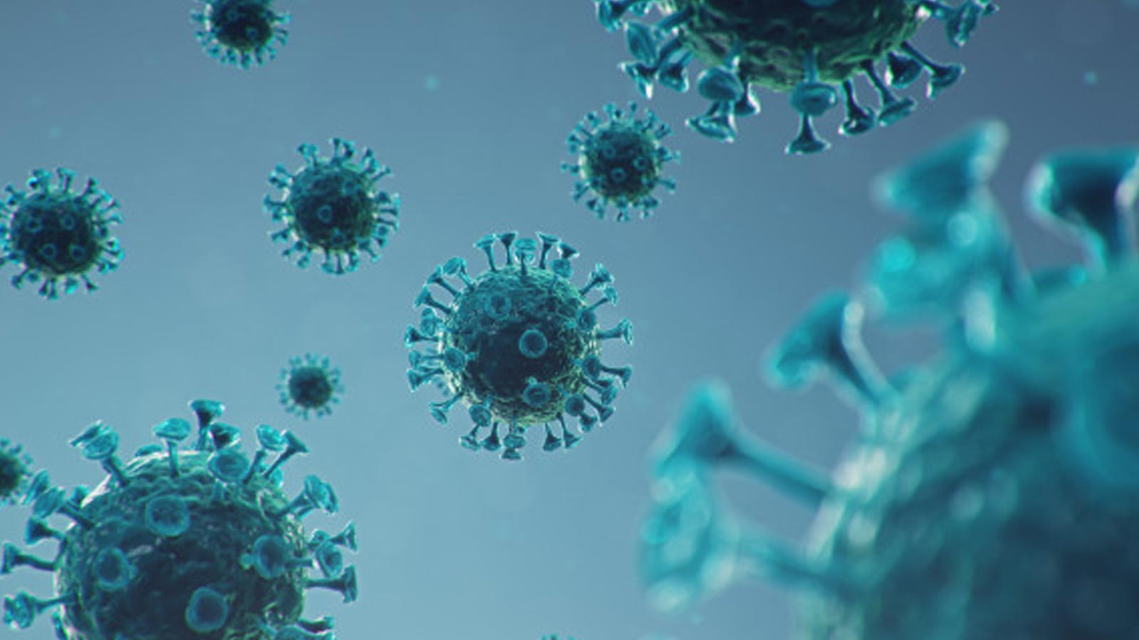 New Study Reveals the Struggles that Many Businesses Face in Getting Paid During the COVID-19 Pandemic