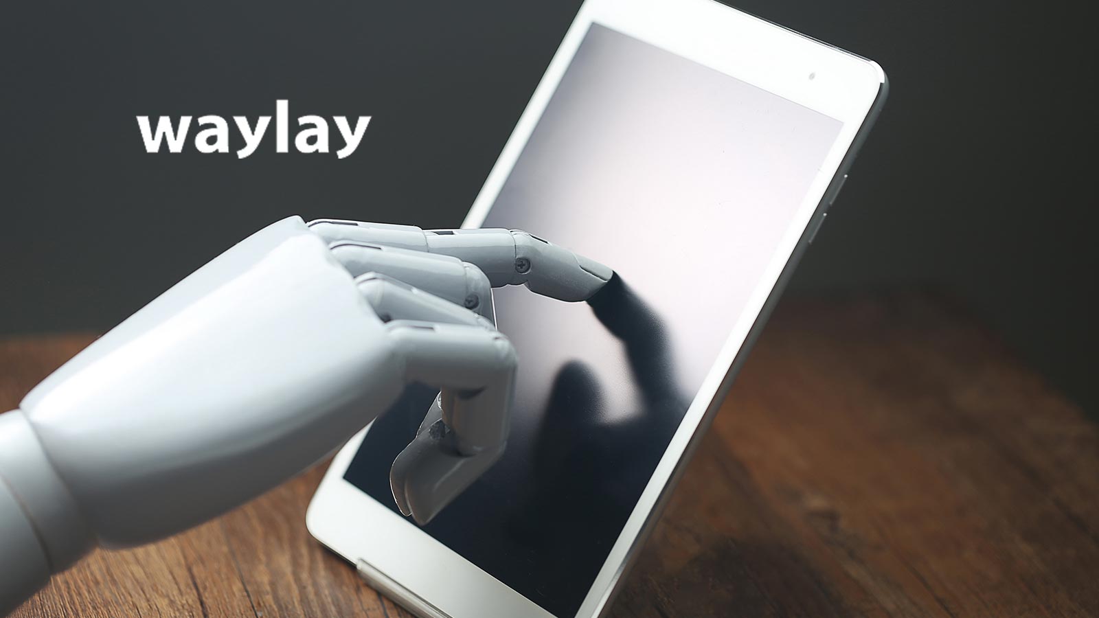 Leonard Donnelly Appointed CEO of Waylay