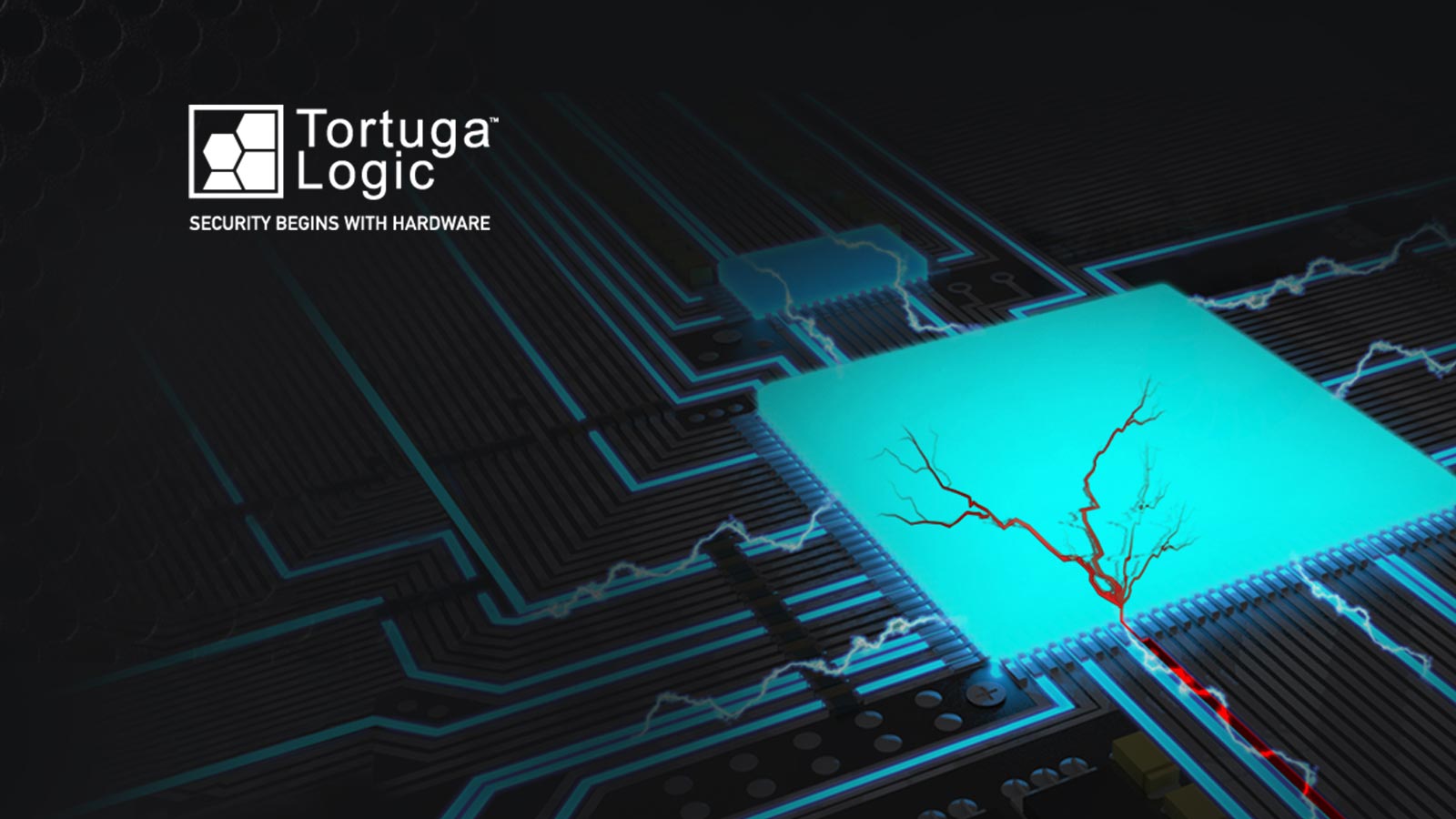 Tortuga Logic Expands Government Sponsored Program to Address Rapid Growth in Hardware Security