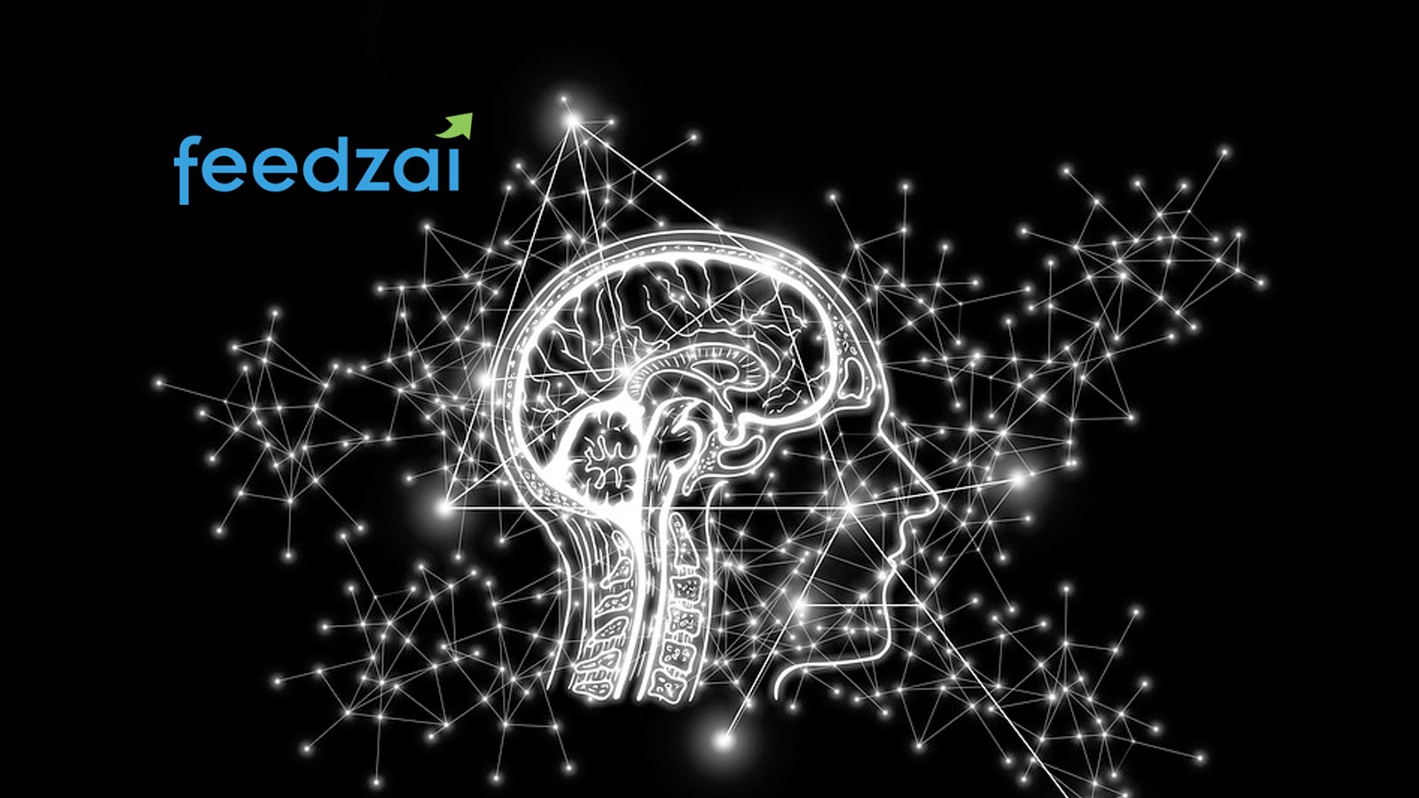 BTG+ Implements Feedzai's Artificial Intelligence Solution