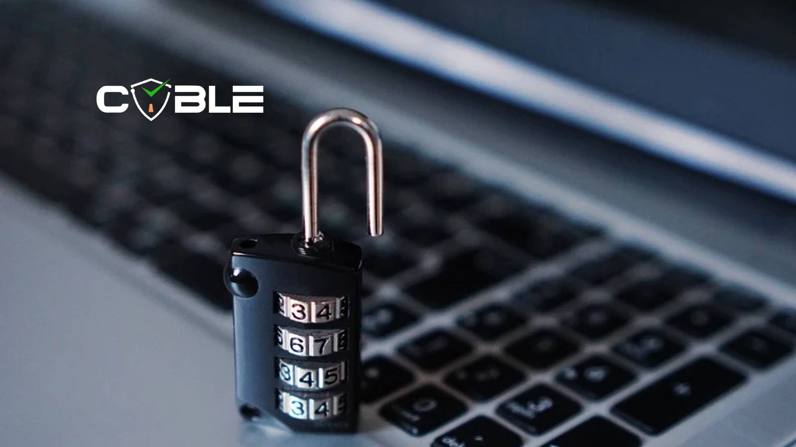 Cyble Appoints Cyber Security Veteran Richard Sands to Expand in North America