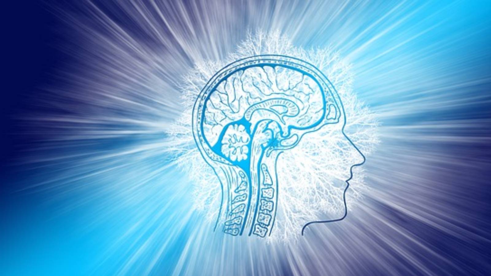 Elevatus Unveils Version 3.0 Breakthrough in Technology to Redefine Intelligent AI Solutions