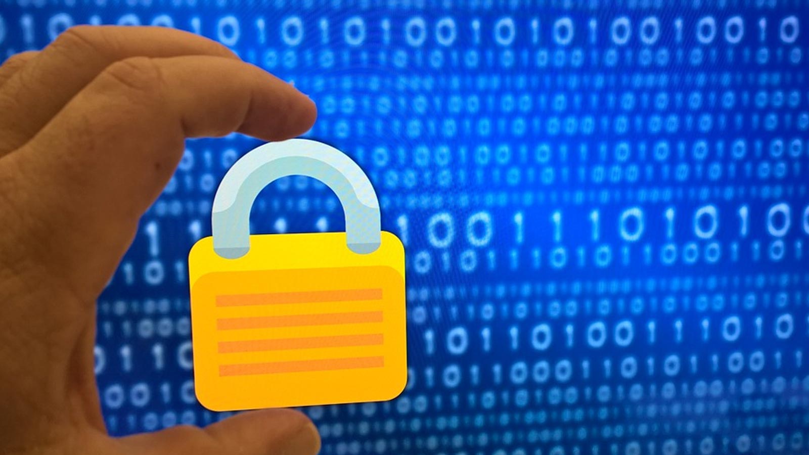 HALOCK And Spirion Partner To Solve Vexing Privacy Compliance Issue