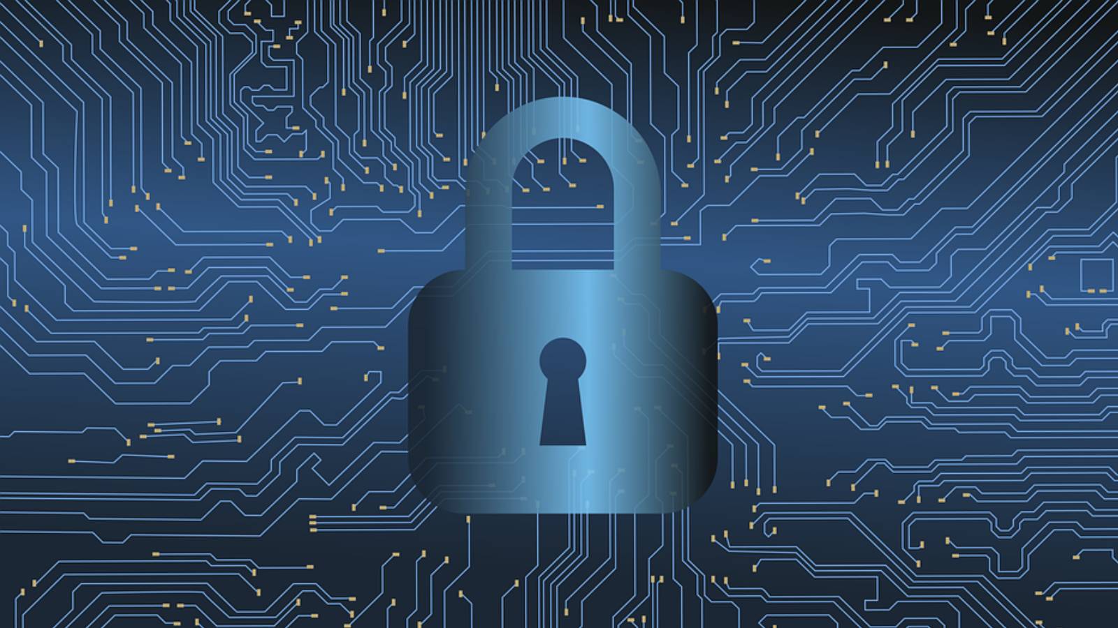 Newest Bitwarden Release Solves Critical Enterprise and Individual Cybersecurity Needs