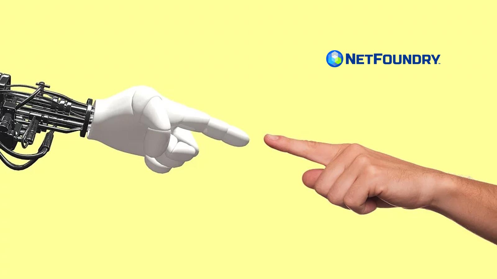TOOQ Solutions Partners With NetFoundry To Transform Retailing With AI Solutions Deployed At The Edge