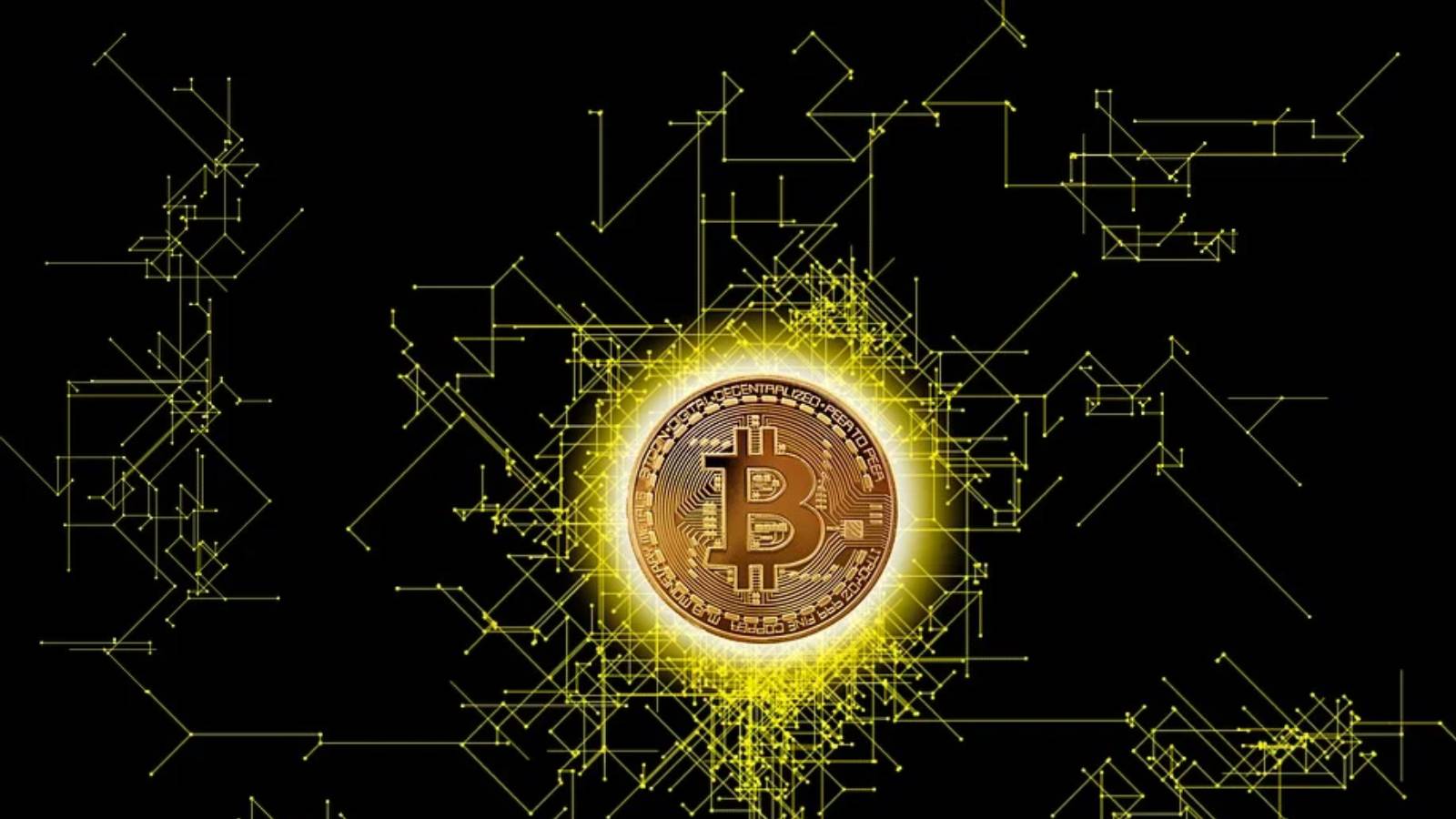 WSGF Announces 95% Survey Support For Vaycacychella Real Estate Cryptocurrency