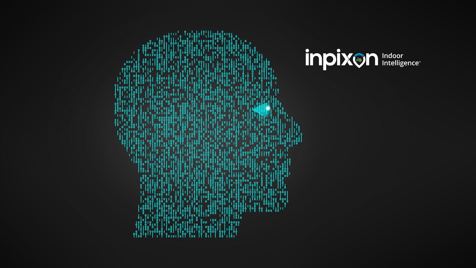 inpixon