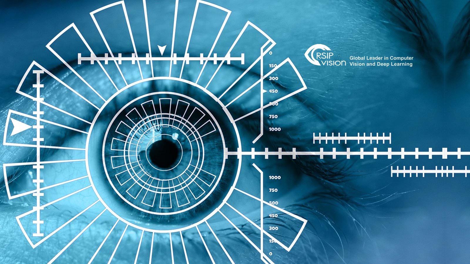 RSIP Vision Unveils Robust Metal Implant & Anatomical Segmentation Tool