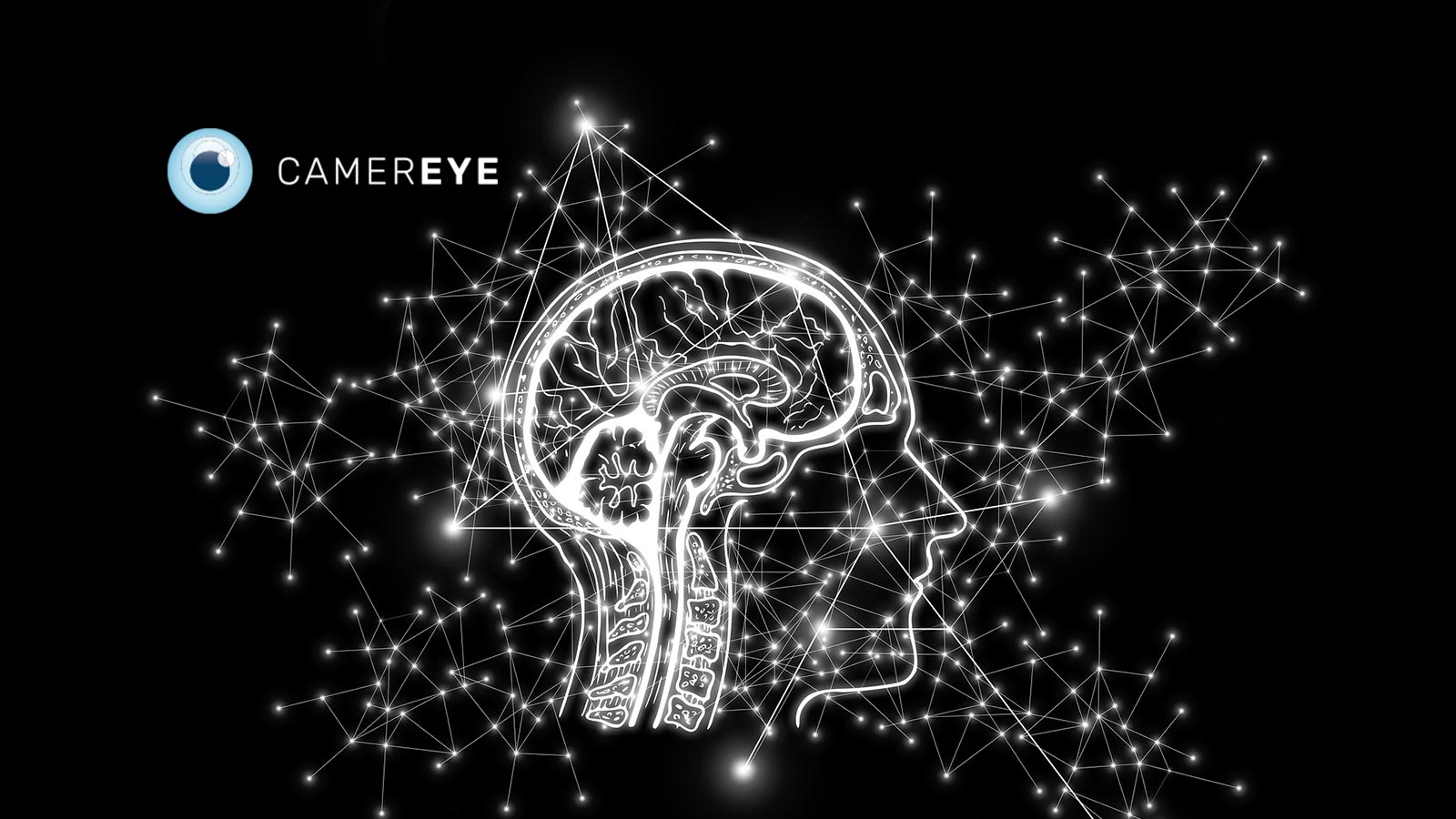 CamerEye Introduces First Artificial Intelligence Smart Fence and Pool Safety Ecosystem for Faster Distress and Near-Drowning Detection to Help Save Lives