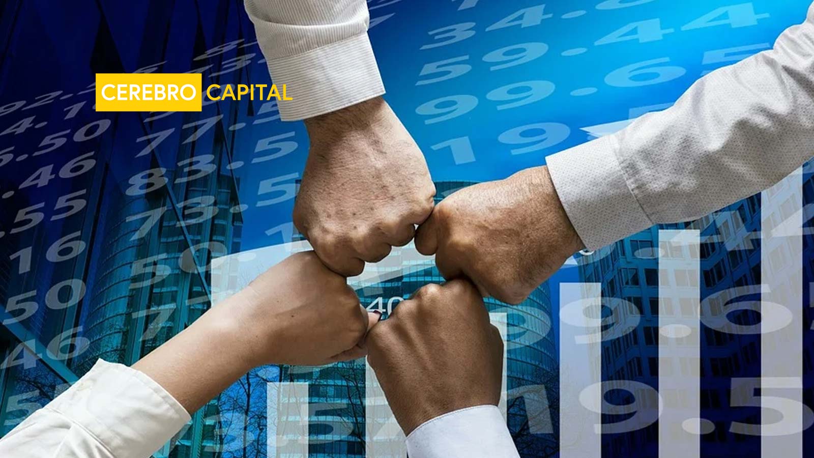 Cerebro Capital Partners With Stanford's Ken Singleton