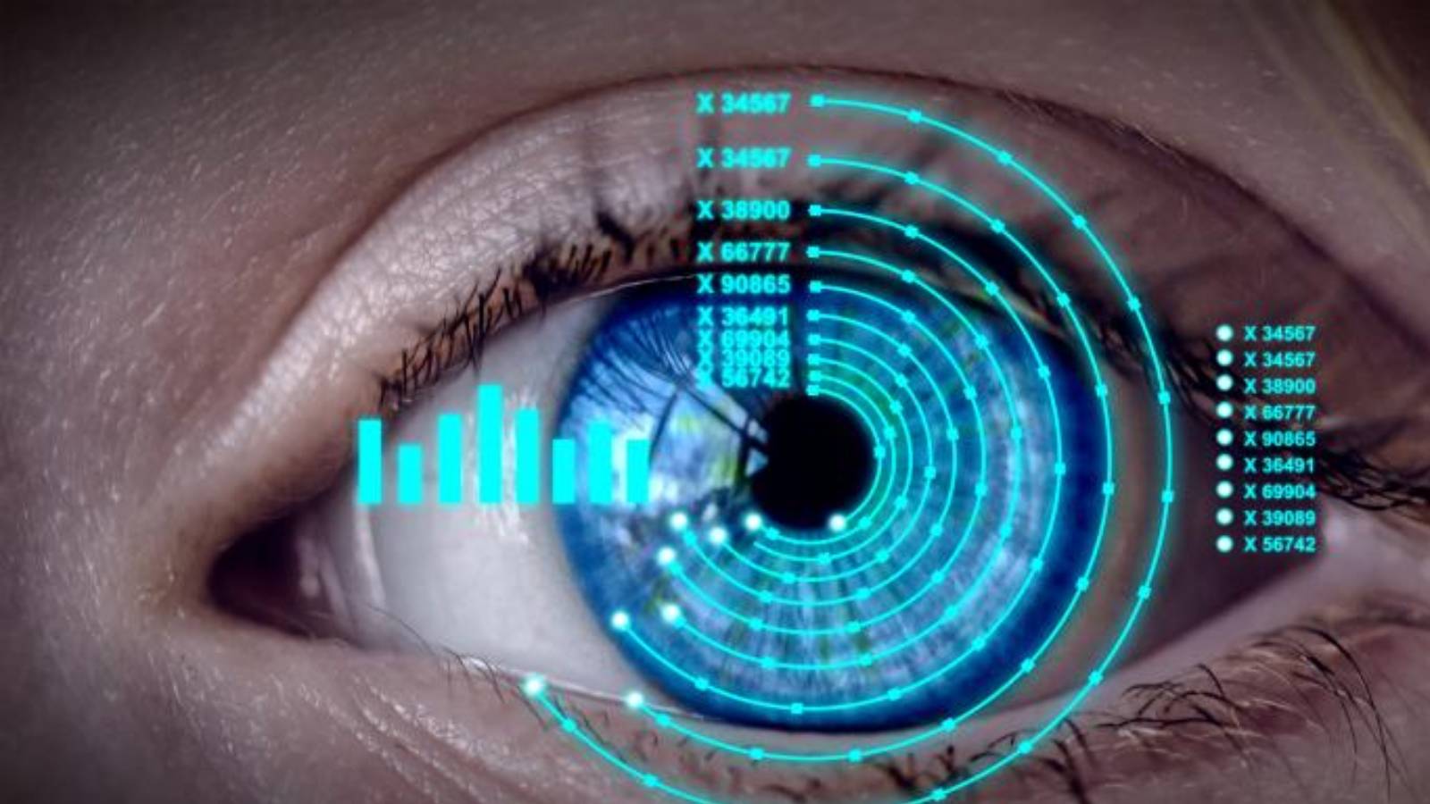 MediaPlatform Cited as Top Provider in Recently Issued Enterprise Video Market Forecasts