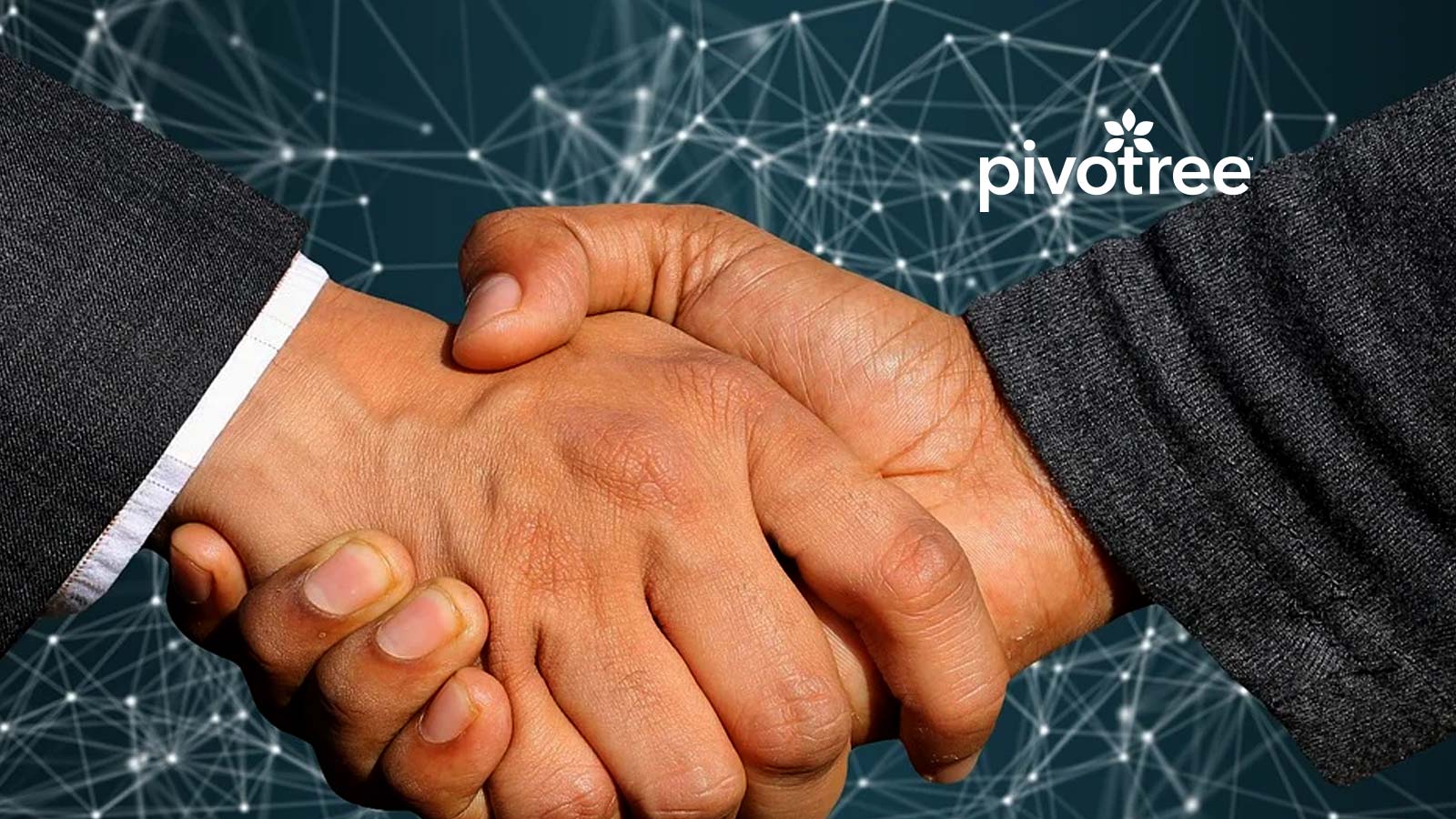 Pivotree and Noibu Announce Strategic Partnership for Comprehensive Ecommerce Error Monitoring and Resolution