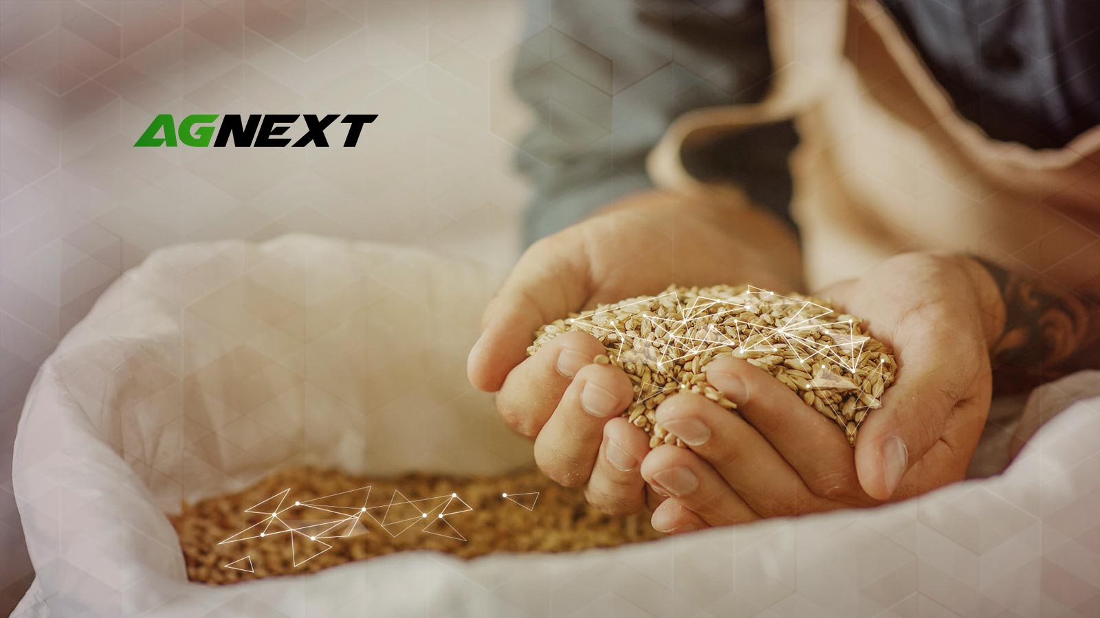 agnext