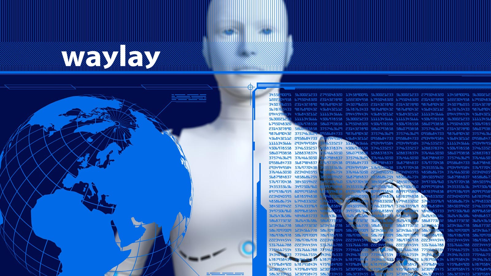 waylay