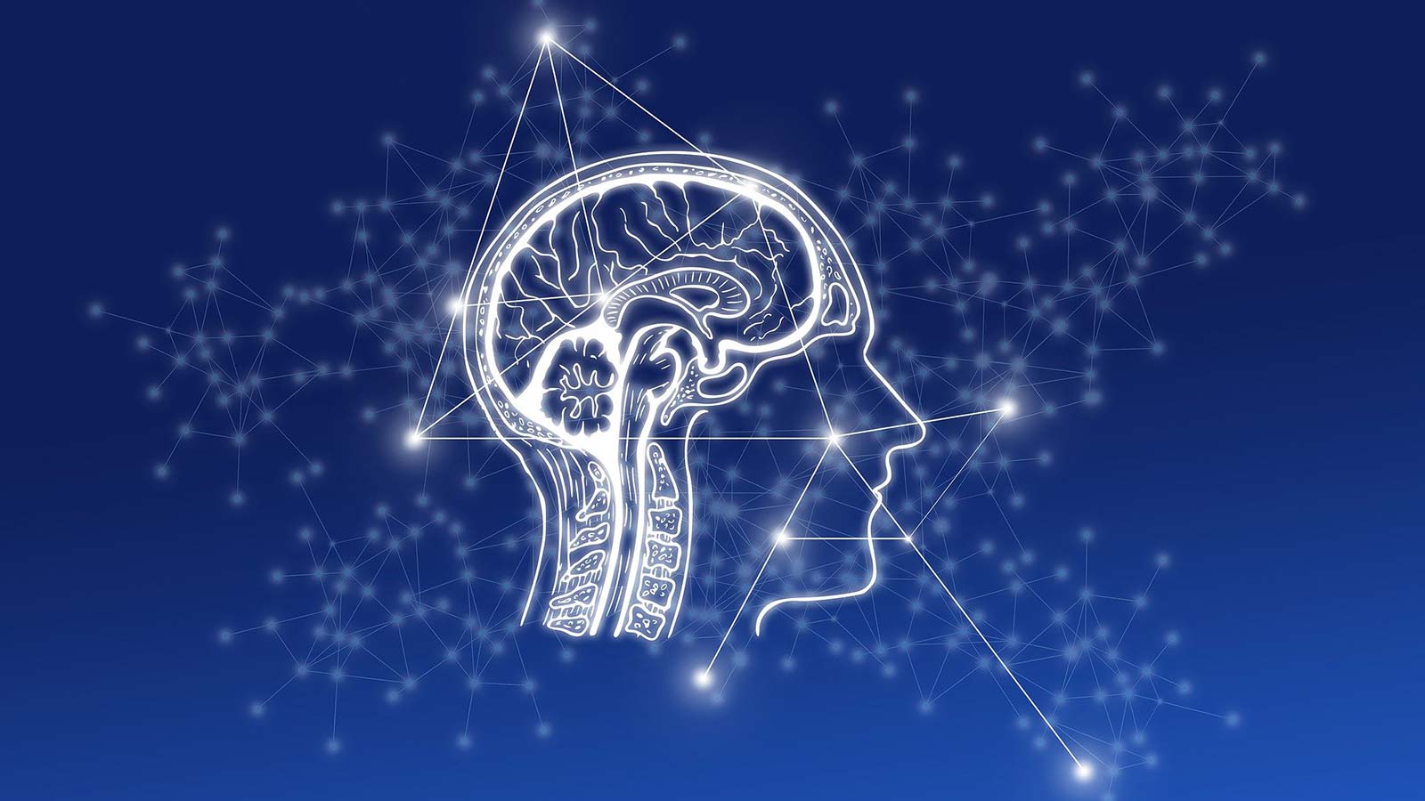 Artificial Intelligence at Your Service for Thousands of Ivy League College Students