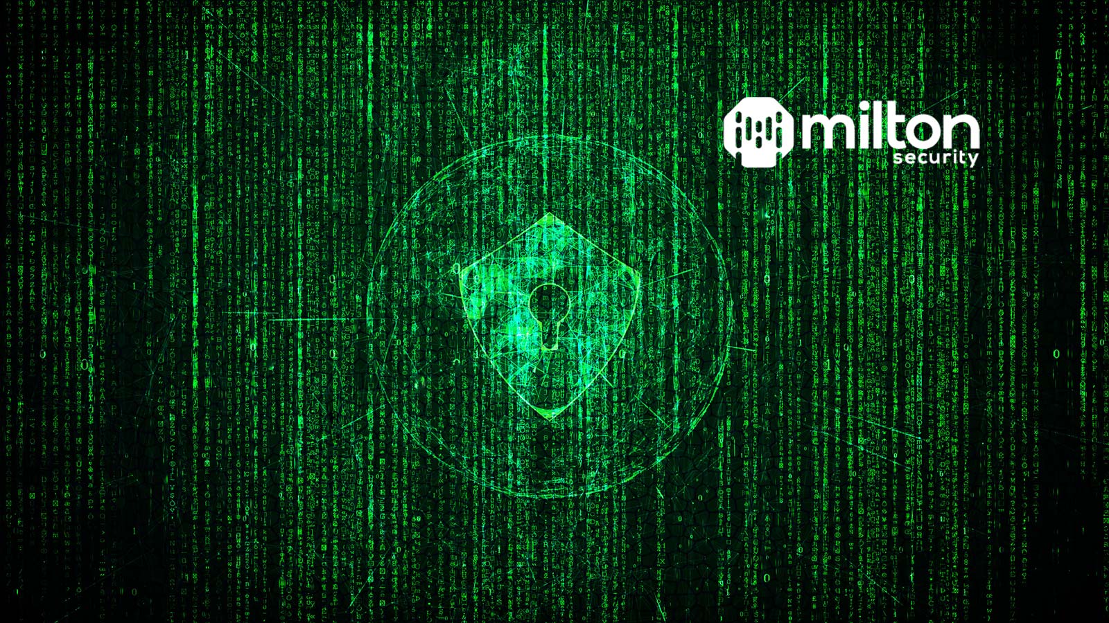 Milton Security Announces the Launch of Expert Services